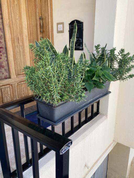 Dream Theatre Maisonette Marsaskala Bagian luar foto